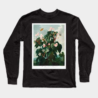 The Oblique–Leaved Begonia Long Sleeve T-Shirt